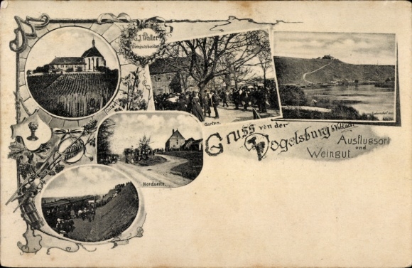 Postcard Vogelsburg Volkach in Lower Franconia, winery, north side, garden