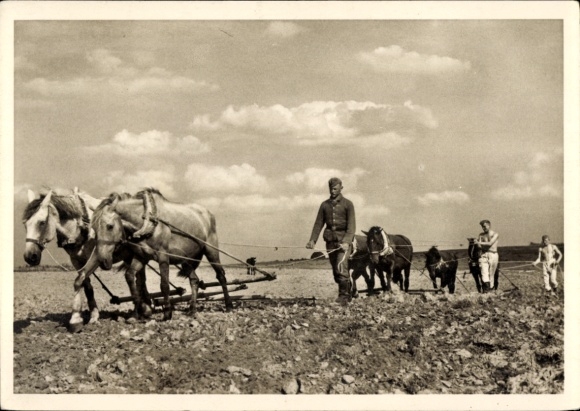 Postcard German Waffen SS, At Peaceful Work, SS Men with Horse Plow
