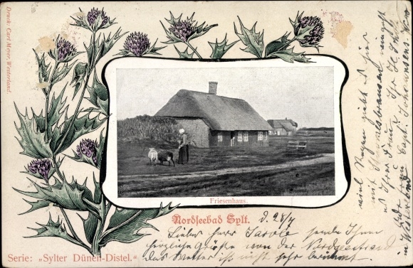 passe-partout ansichtkaart Sylt in Noord-Friesland, Friesenhaus, duindistel