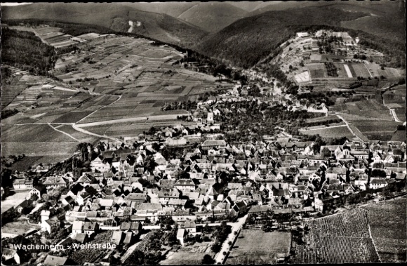 Wachenheim Wine Route, aerial photo