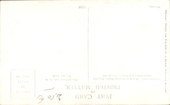 Artist Postcard Marten in the Forest