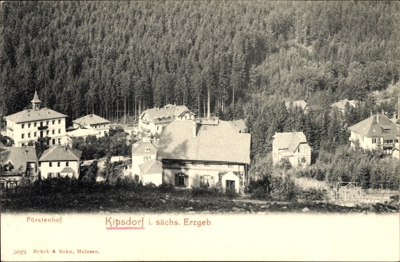 Postcard Kipsdorf Altenberg in the Erzgebirge, partial view, Hotel Fürstenhof
