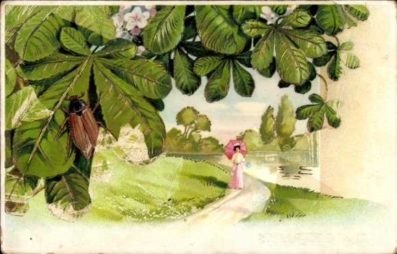 Chromo-Litho cockchafer on a chestnut leaf