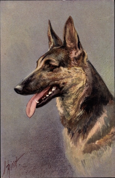 Artist PC Elzasser Wolfshond, Berger alsatien, Schäferhund