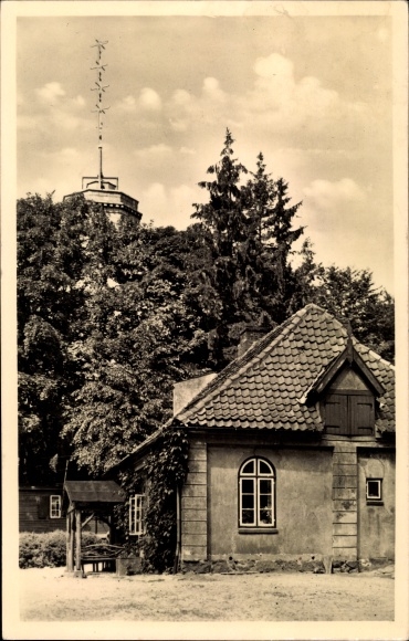 Postcard Schönwalde am Bungsberg in Ostholstein, Elisabethturm