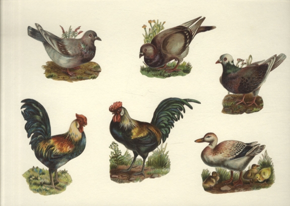 6 wafers chickens, ducks, pigeons, size approx. 9 x 9 cm each