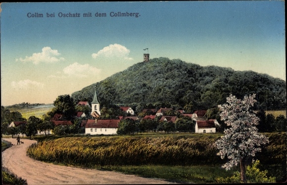 Ak Collmberg Collm Wermsdorf Sachsen, Teilansicht mit dem Collmberg