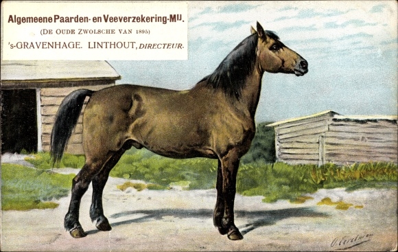 Artist Postcard Eerelman, &#39;The Hague Südholland Niederlande, Algemeene Paarden en Veeverzekering Mij.