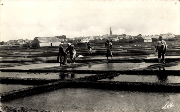 KP Carnac Plage Morbihan, pola solne, solniska w Bréno