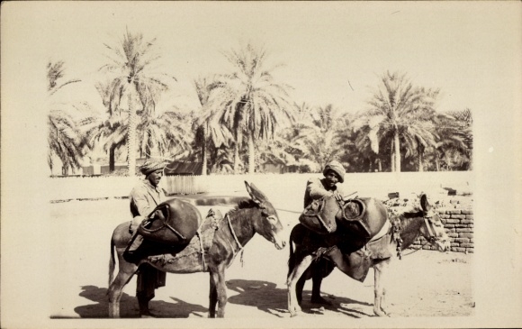 Zdjęcie KP Irak, dwóch mężczyzn, osioł, transport, palmy