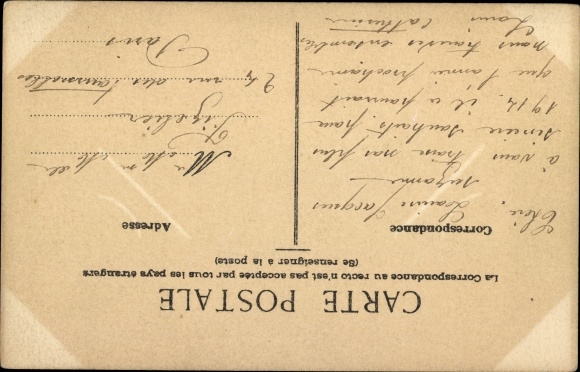 Postcard fly on an olive branch