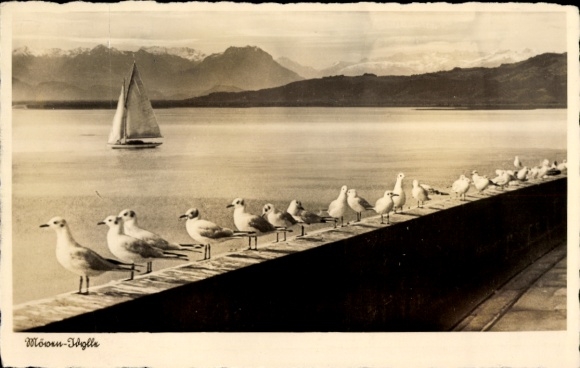 Postcard seagull idyll, sailing boat, mountains