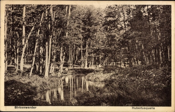 Ak Birkenwerder in Brandenburg,  Hubertusquelle, Waldlandschaft, Wasserlauf