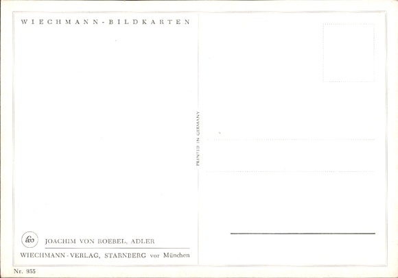 Artist Postcard by Roebel, Joachim, Flying Golden Eagle in the Mountains