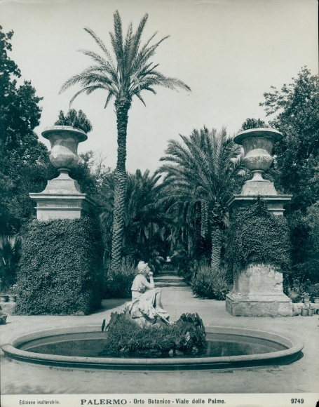 foto Palermo Sicilia, Orto Botanico, Viale delle Palme, rond 1900