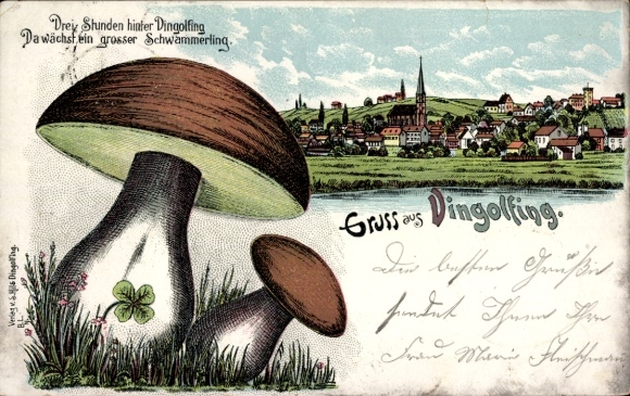 Chromo-Litho Dingolfing in Lower Bavaria, Three hours behind Dingolfing there grows a large fungus