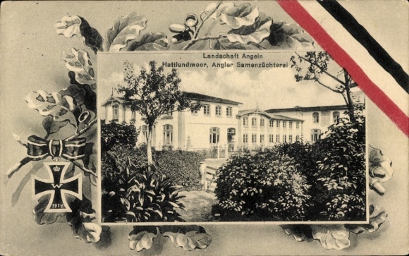 Passepartout Ak Hattlundmoor Steinbergkirche in Angeln, Angler Samenzüchterei