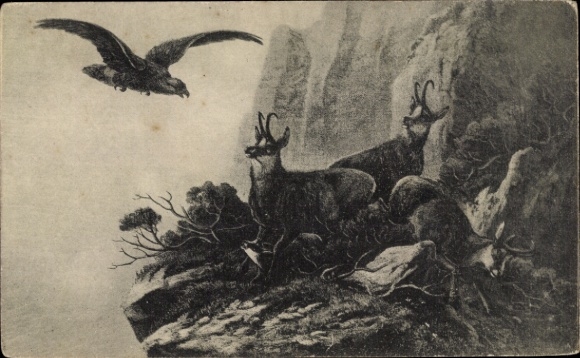 Postcard chamois in a mountain landscape, an eagle flying above them