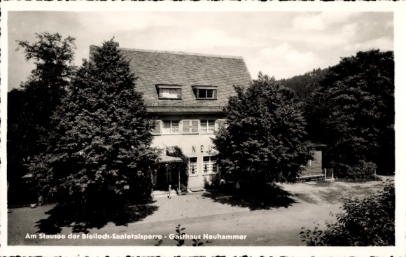Ak Bad Lobenstein in Thüringen, Gasthof Neuhammer, Am Stausee der Bleiloch Saaletalsperre