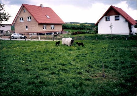 76 photos Lüdenhausen Kalletal in Lippe + surroundings