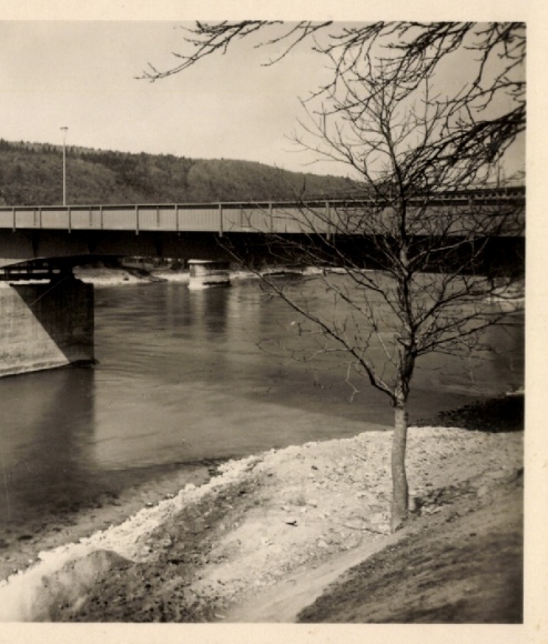 Picture PC Waldshut Tiengen am Hochrhein, bridge, water, tree, landscape