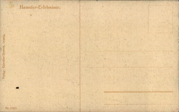 Artist Postcard Thiele, Arthur, hamster experiences, the eye of the law is awake, eggs, guitar, cat