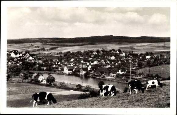 Postcard Guxhagen in Hesse, general view, cows graze