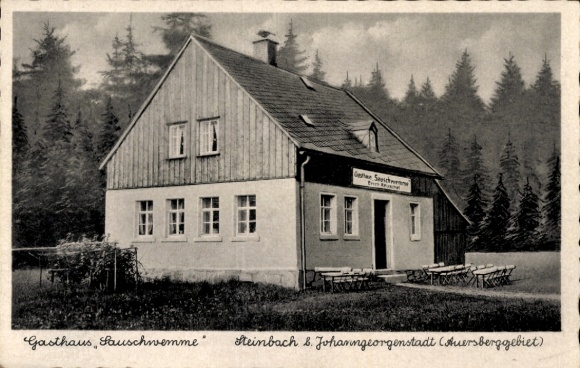 Postcard Steinbach Johanngeorgenstadt in the Ore Mountains, inn Sauschwemme, building, surroundings, trees
