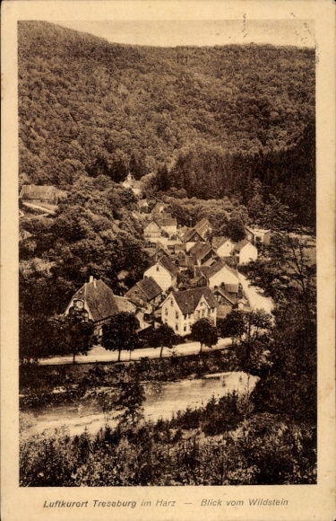 Ak Treseburg Thale im Harz, Gesamtansicht vom Wildstein