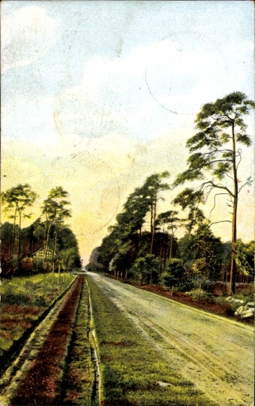 Postcard Worpswede in Lower Saxony, forest path