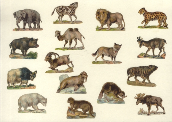 16 wafers wild animals, zebra, elephant, lion, polar bear, moose etc. each approx. 4 x 6 cm