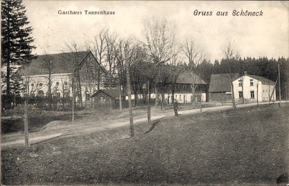 Ak Schöneck im Vogtland, Gasthaus Tannenhaus, Straße, Bäume, Landschaft, Gruß aus Schöneck