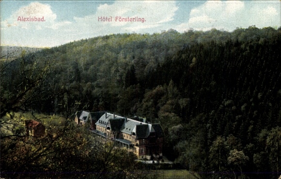 Ak Alexisbad Harzgerode am Harz, Hôtel Försterling, Waldlandschaft,  Architektur