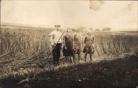 Photo Postcard Geissmannsdorf Geißmannsdorf Bischofswerda in Saxony, farmers at the edge of the field, harvest, scythe