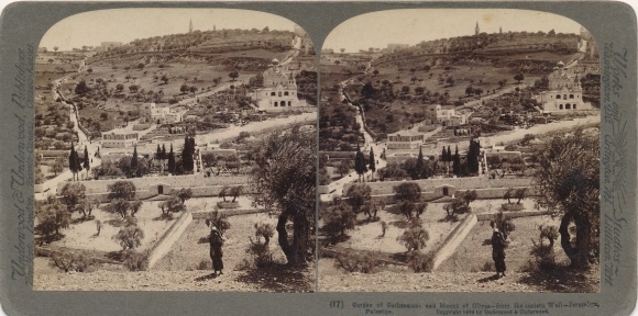 Stereo photo Israel, Garden of Gethsemane, Mount of Olives