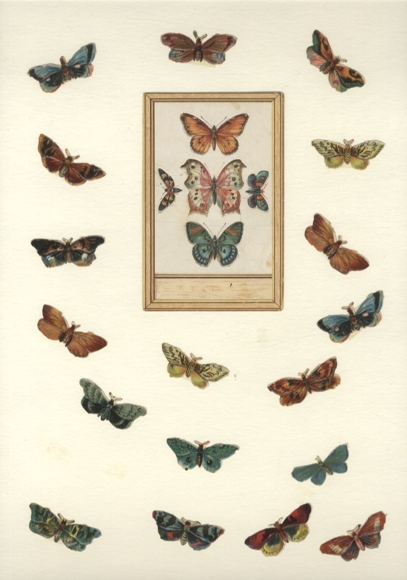 18 Oblaten, 1 Glanzbild bunte Schmetterlinge und Falter, ca. 11 x 7,5 cm bis 2 x 4 cm
