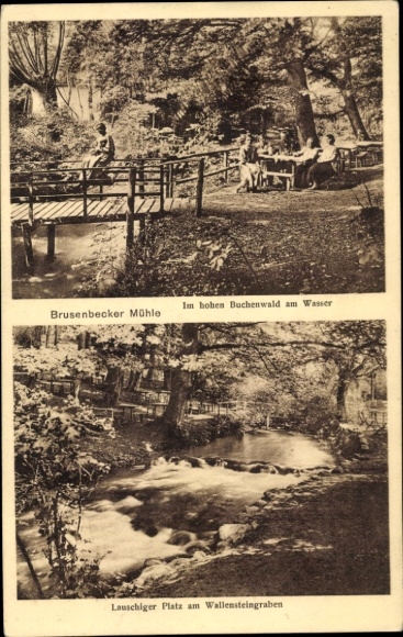 Postcard Bad Kleinen in Mecklenburg, Brusenbecker Mühle, Buchenwald, Wallensteingraben