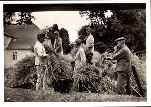 Photo Heinrich Hoffmann, Wehrmacht soldiers help German farmers with the harvest, August 1938