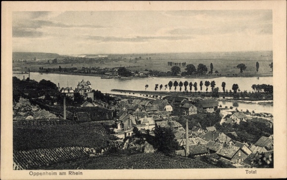 Ak Oppenheim am Oberrhein,  Flusslandschaft, Häuser, Bäume, Schwarz-Weiß