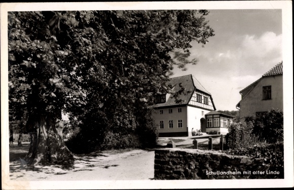 Ak Barkhausen Bad Essen in Nedersaksen, schoolkamp met een oude lindeboom