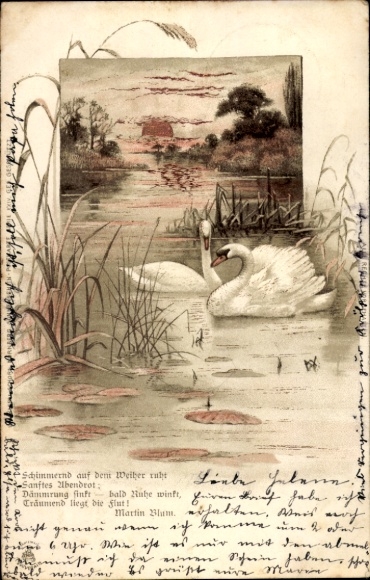 Chromo-Litho Swans, Pond, Sunset