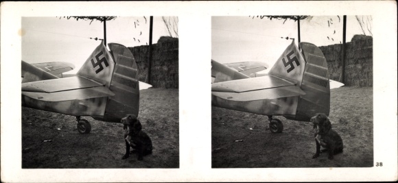 Stereo spatial image photo flying and winning No. 39, victory sign on the tail unit. Hunting machine v. Mölders