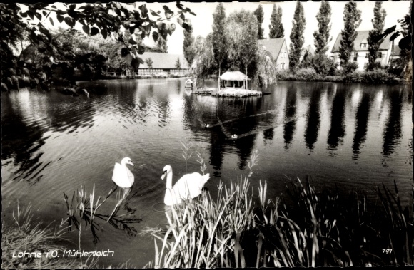 Ak Lohne in Oldenburg, Schwäne auf dem Mühlenteich