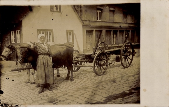 Foto Ak Ortspartie, Ochsenkarre, Frau