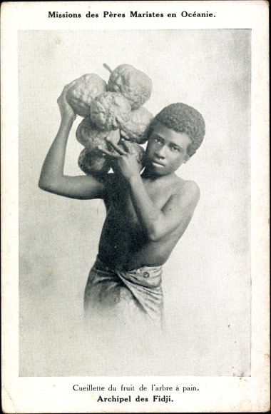 Postcard Fidschi, Mission of the Marist Fathers, Picking fruit from the breadfruit tree