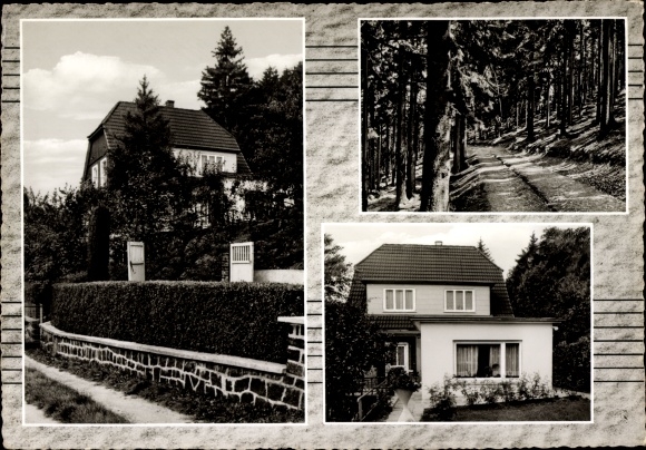 Postcard Wissenbach Eschenburg in Hesse, Pension Th. Hess, exterior views, forest