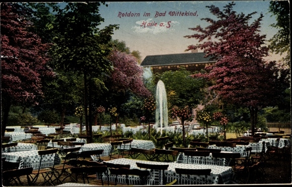 Postcard Halle an der Saale, hawthorn in Bad Wittekind, fountain