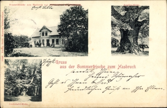 Postcard Hude near Oldenburg, summer resort for Hasbruch, Amalien oak, Liedertafel oak