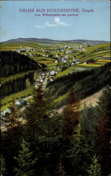 Ak Schönheide im Erzgebirge Sachsen, Blick von der Wilhelmshöhe