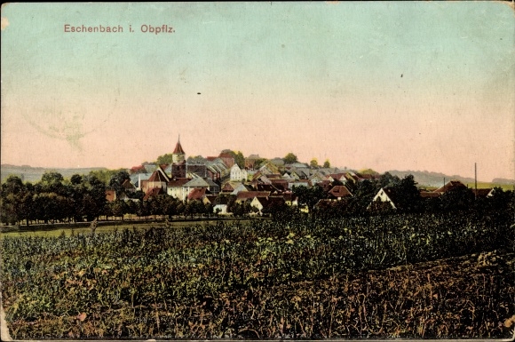 Ak Eschenbach in der Oberpfalz Bayern, Totalansicht vom Ort, Feld